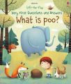 What is Poo? Katie Daynes