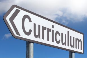 FS2 Curriculum Overview - Term 2 2020-2021 