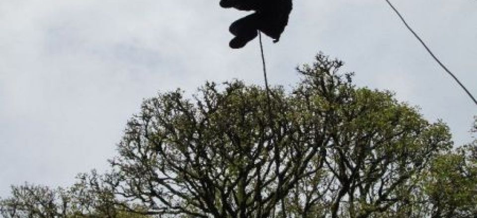 Abseiling (Castleton, October 2017)